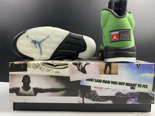 Cheap 5 CK6631-307 Air Ducks Oregon SE Jordan 0809
